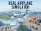 Laro Real Airplane Simulator online