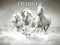Laro Horses Puzzle online