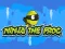 Laro Ninja the Frog online