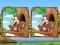 Laro Jungle 5 Diffs online