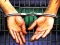 Laro Prison Escape 2022 online