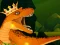 Laro The Dino King online