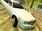 Laro Limousine Driver online