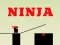 Laro Ninja go online