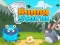 Laro Bunny Storm online