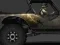 Laro Insane truckers online