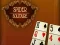 Laro Spider Solitaire online