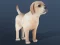 Laro IDLE Pet online