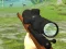 Laro Hunter 3D online