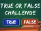 Laro  True Or False Challenge online