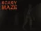 Laro Scary Maze online