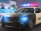 Laro Police Car Simulator online