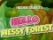 Laro Hidden Objects Hello Messy Forest online