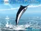 Laro Azure Sea Fishing online