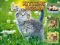 Laro Kittens Jigsaw online