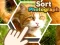 Laro Sort Photograph online