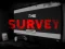 Laro The Survey online
