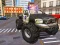 Laro Police Truck Driver Simulator online