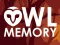 Laro Owl Memory online