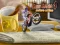 Laro Bike Mania 4 Micro Office online