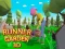 Laro Runner Garden 3d online