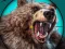 Laro Wild Bear Hunting online