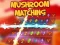 Laro Mushroom matching online