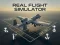 Laro Real Flight Simulator online