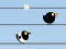 Laro Gone with the Birds online