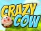 Laro Crazy Cow online