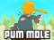 Laro Pum-Mole online
