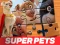 Laro DC League of Super Pets Jigsaw Puzzle online