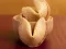 Laro Fortune Cookies online