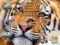 Laro Jigsaw Puzzles Classic online