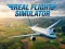 Laro Real Flight Simulator online