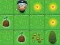 Laro Magic Seeds online