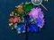 Laro Hidden Stars online
