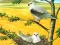 Laro Birds Of Prey Puzzle online