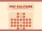 Laro Peg Solitaire online