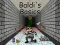Laro Baldi's Basics online