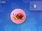 Laro Snail Clicker online