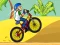 Laro BMX Boy Online online