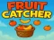 Laro Fruit catcher online