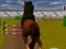 Laro Jumping Horse 3d online