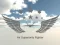 Laro Air Superiority Fighter online