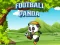 Laro Football Panda online