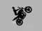 Laro Dark Rider online