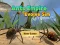 Laro Ants Empire Evolve Sim online