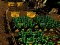 Laro Pixel Farm online