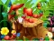 Laro Hidden Objects Insects online